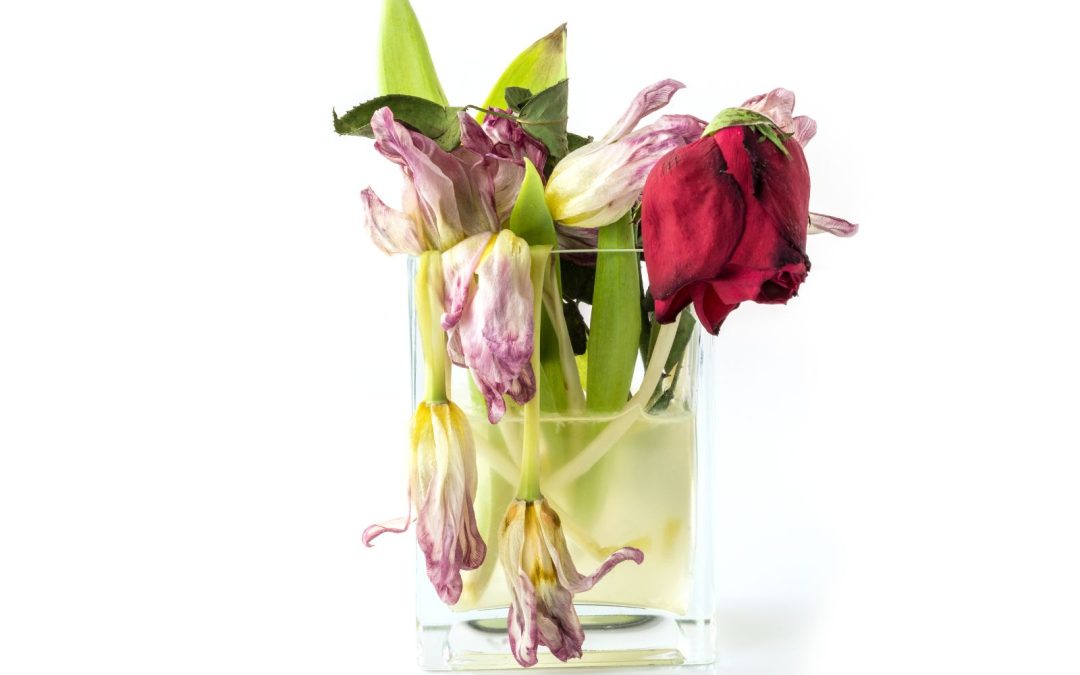 fiori appassiti
